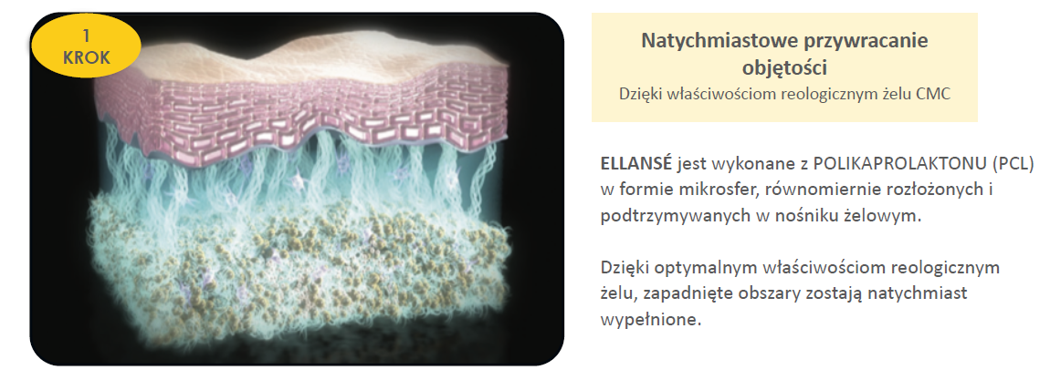 Działanie preparatu ELLANSÉ - krok 1